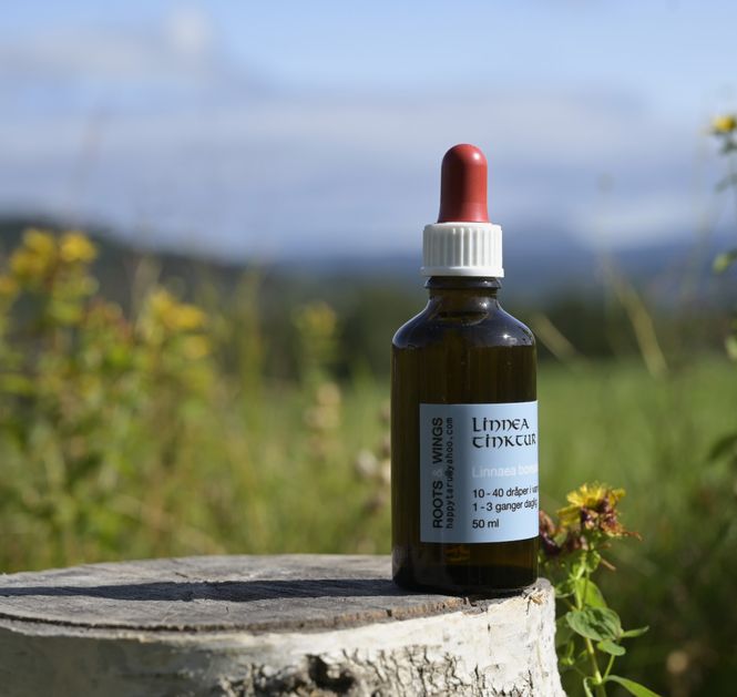 Hovedbilde Linnea tinctur 50ml