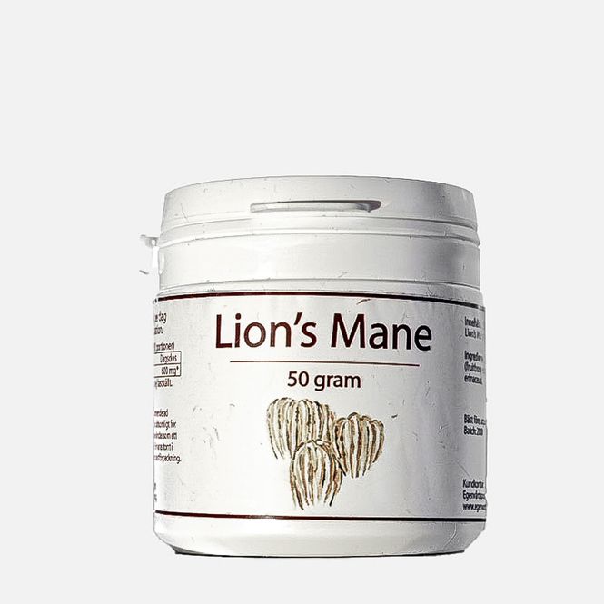 Hovedbilde Lions Mane