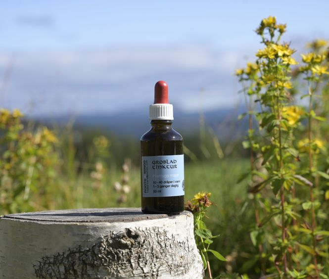 Hovedbilde Klengemaure  tinctur 50ml