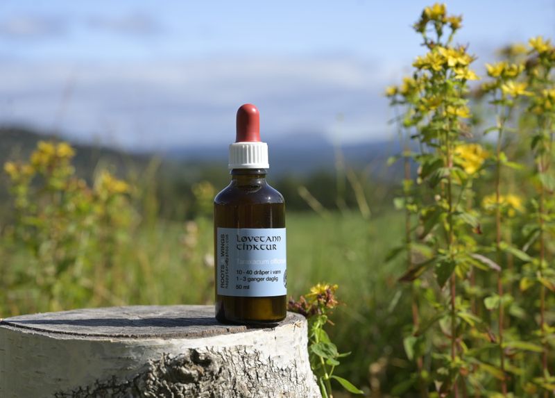 Løvetann rot tinctur 50ml
