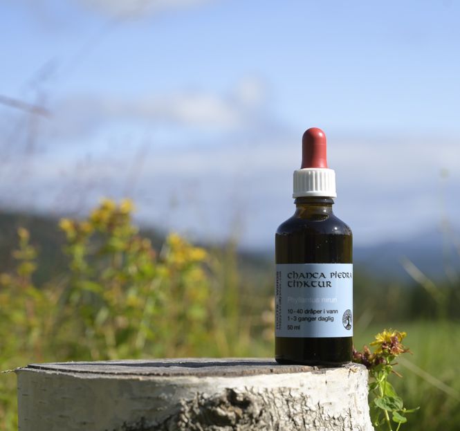 Hovedbilde Chanka Piedra tinctur 50ml 