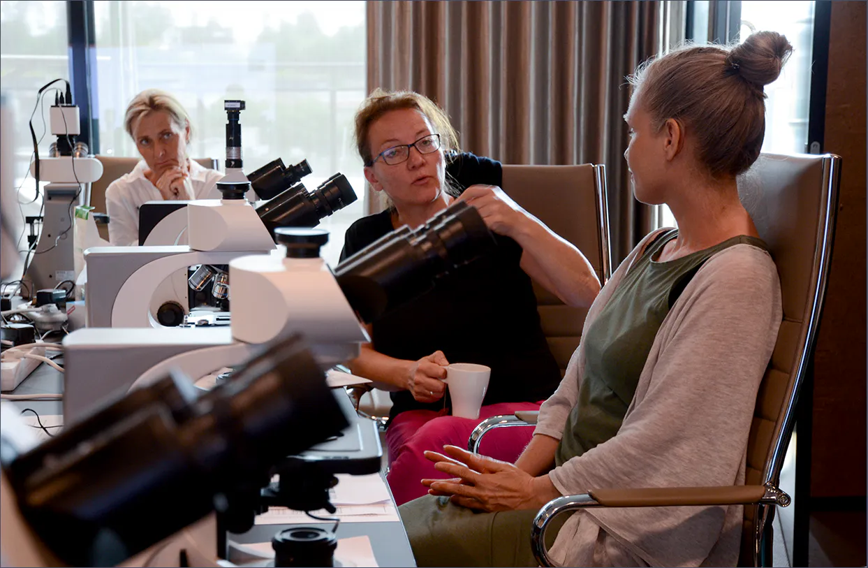 Meld deg på vårt nyhetsbrev